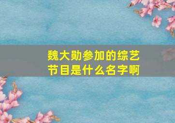 魏大勋参加的综艺节目是什么名字啊