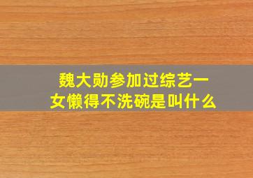 魏大勋参加过综艺一女懒得不洗碗是叫什么