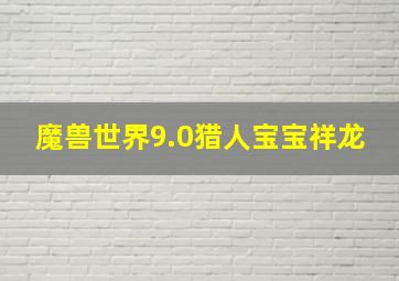 魔兽世界9.0猎人宝宝祥龙