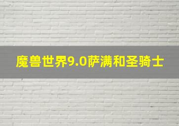 魔兽世界9.0萨满和圣骑士