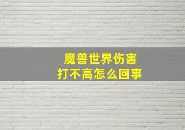 魔兽世界伤害打不高怎么回事