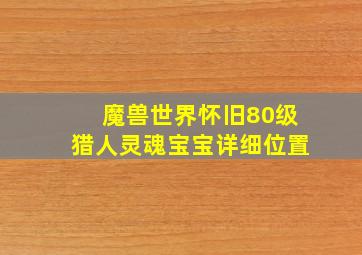 魔兽世界怀旧80级猎人灵魂宝宝详细位置