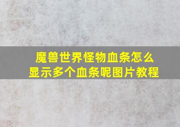 魔兽世界怪物血条怎么显示多个血条呢图片教程