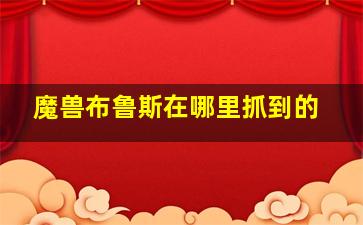 魔兽布鲁斯在哪里抓到的