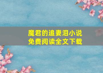 魔君的追妻泪小说免费阅读全文下载