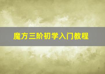 魔方三阶初学入门教程