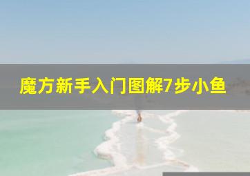 魔方新手入门图解7步小鱼