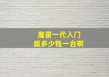 魔笛一代入门版多少钱一台啊