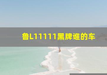 鲁L11111黑牌谁的车