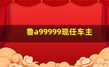 鲁a99999现任车主