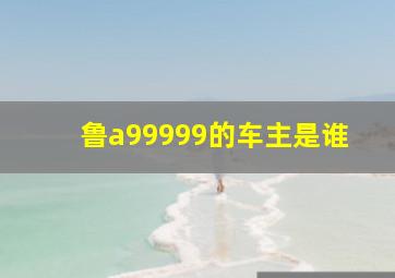 鲁a99999的车主是谁