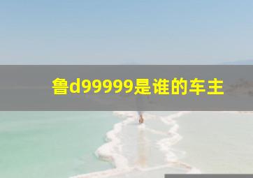 鲁d99999是谁的车主