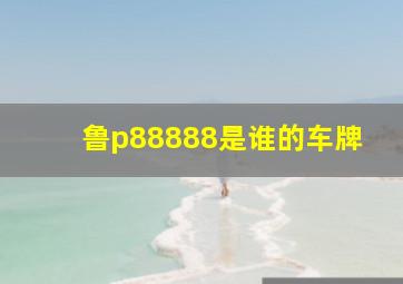 鲁p88888是谁的车牌