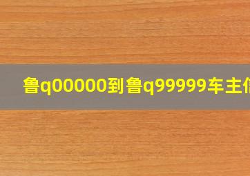 鲁q00000到鲁q99999车主信息