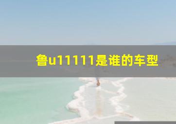 鲁u11111是谁的车型