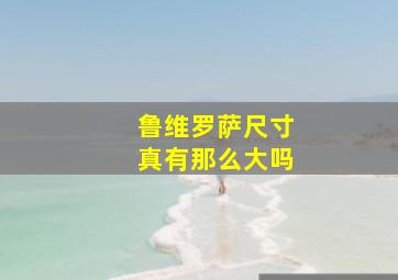 鲁维罗萨尺寸真有那么大吗