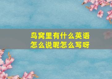 鸟窝里有什么英语怎么说呢怎么写呀