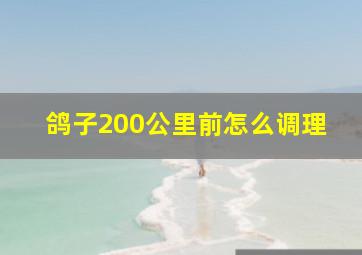 鸽子200公里前怎么调理