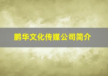 鹏华文化传媒公司简介