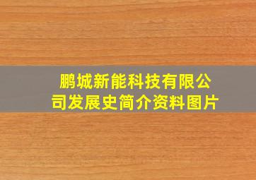 鹏城新能科技有限公司发展史简介资料图片