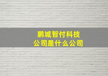 鹏城智付科技公司是什么公司