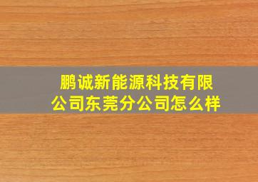 鹏诚新能源科技有限公司东莞分公司怎么样