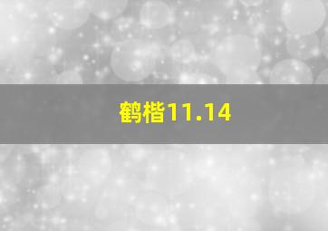 鹤楷11.14