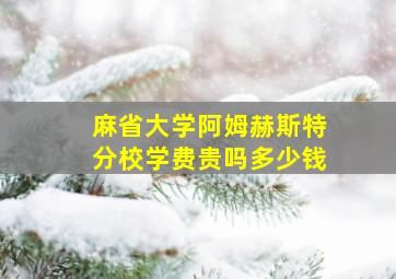 麻省大学阿姆赫斯特分校学费贵吗多少钱