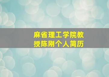 麻省理工学院教授陈刚个人简历