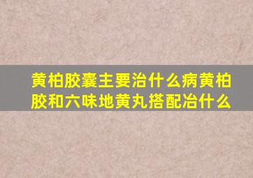 黄柏胶囊主要治什么病黄柏胶和六味地黄丸搭配冶什么