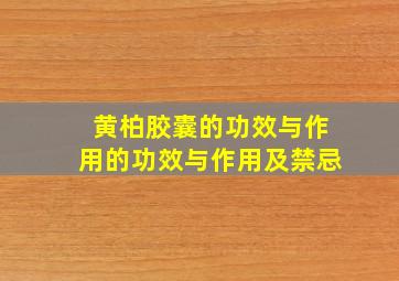 黄柏胶囊的功效与作用的功效与作用及禁忌