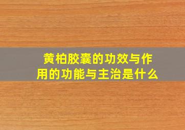 黄柏胶囊的功效与作用的功能与主治是什么