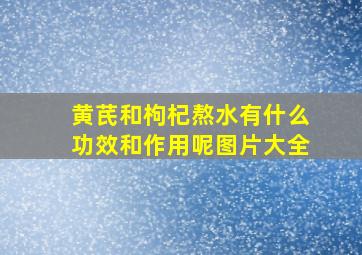 黄芪和枸杞熬水有什么功效和作用呢图片大全