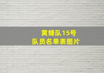 黄蜂队15号队员名单表图片