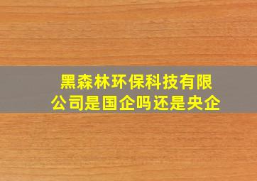 黑森林环保科技有限公司是国企吗还是央企