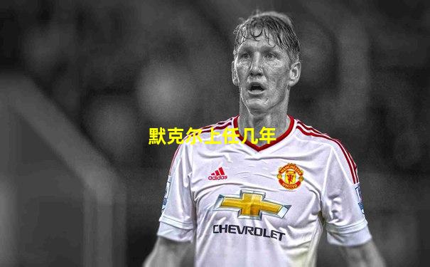 默克尔上任几年