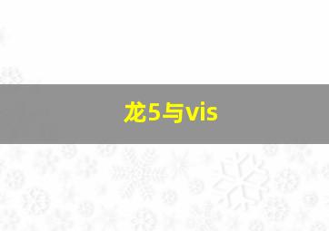 龙5与vis