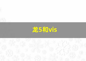 龙5和vis