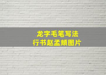 龙字毛笔写法行书赵孟頫图片