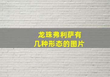 龙珠弗利萨有几种形态的图片