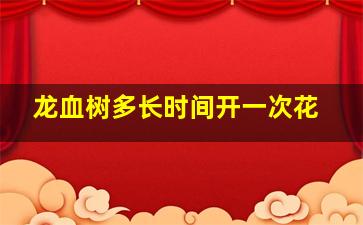 龙血树多长时间开一次花