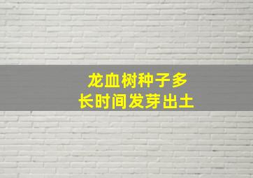 龙血树种子多长时间发芽出土